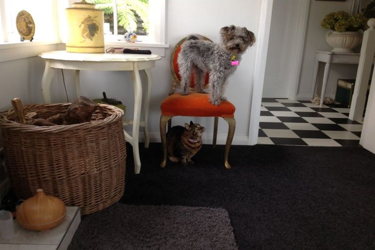 Photo of property in 99 Otaki Street, Miramar, Wellington, 6022