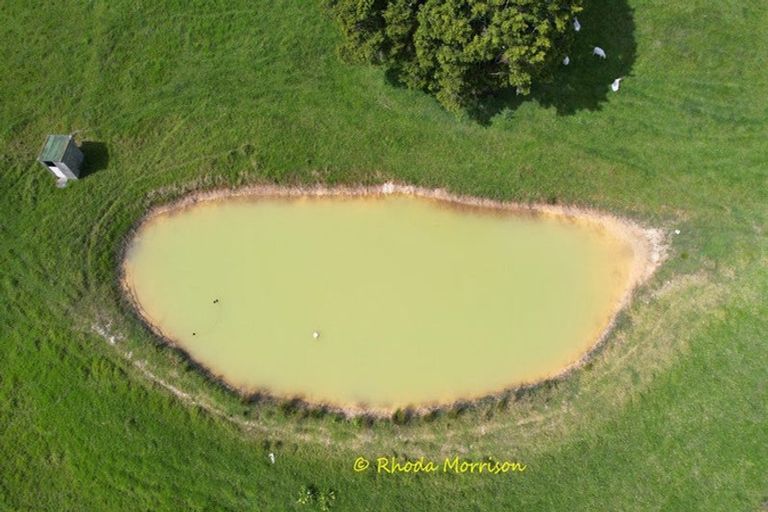 Photo of property in 69 Matakohe Wharf Road, Matakohe, 0593