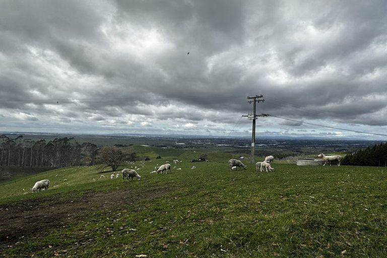 Photo of property in 345a Reid Road, Papamoa, Te Puke, 3187