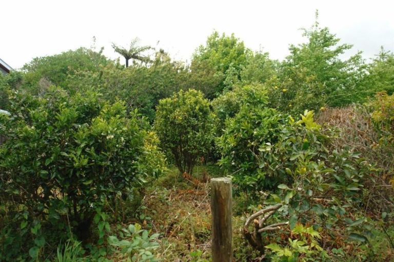 Photo of property in 29 Chester Street, Waverley, 4510