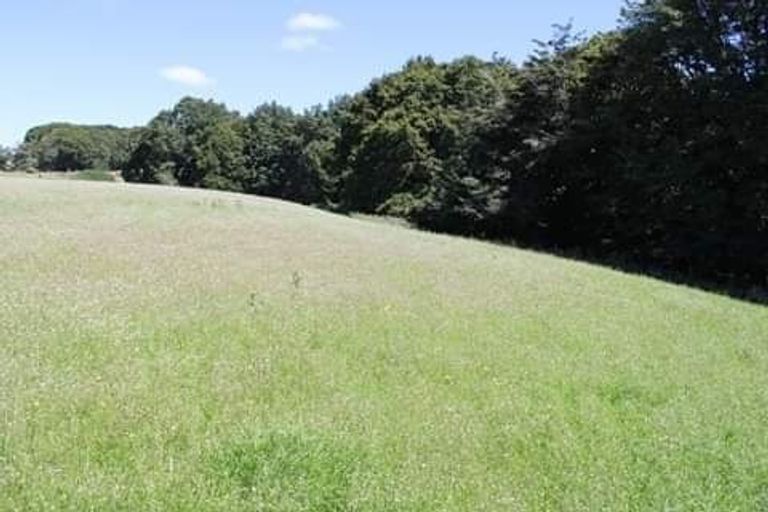 Photo of property in 306 Lillburn Monowai Road, Dean, Tuatapere, 9691