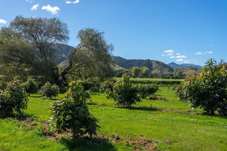 Photo of property in 189 Selmes Road, Rapaura, Blenheim, 7273