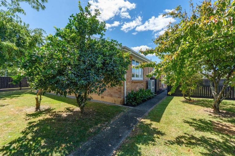 Photo of property in 6 Bellmont Avenue, Chartwell, Hamilton, 3210