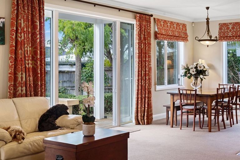 Photo of property in 137 Carmichael Road, Bethlehem, Tauranga, 3110