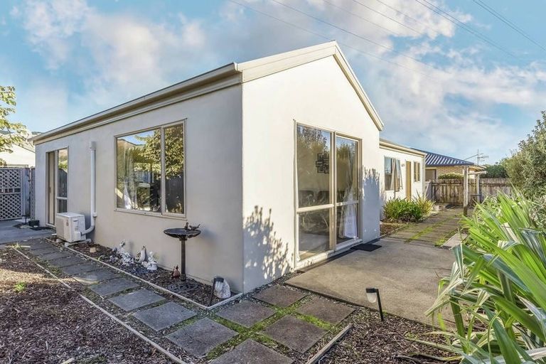 Photo of property in 87 Arbor-lea Avenue, Richmond, 7020