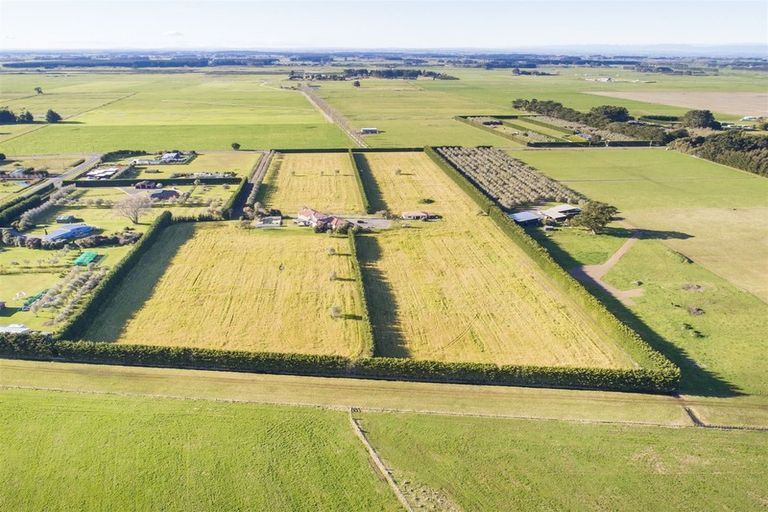 Photo of property in 220 Motuiti Road, Foxton, 4891