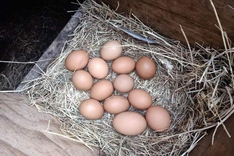 Photo of property in 373 Hauraki Road, Orongo, Thames, 3574