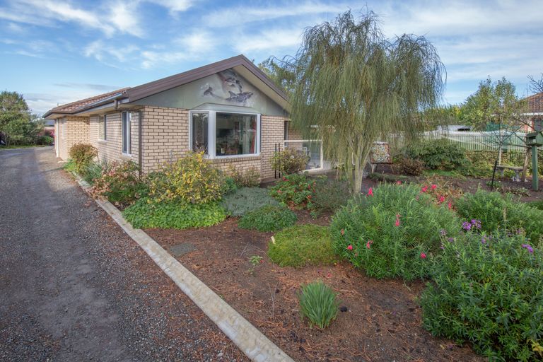 Photo of property in 41 Oxford Road, Rangiora, 7400