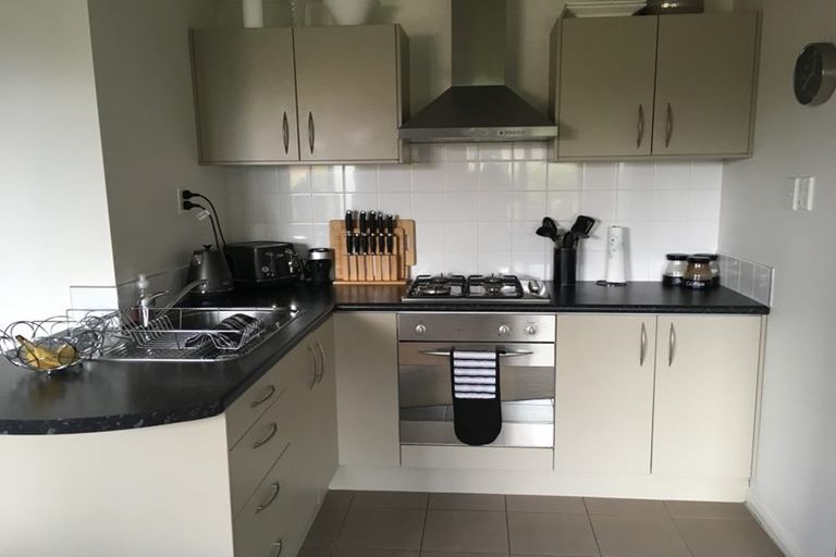 Photo of property in 19 Joy Street, Albany Heights, Auckland, 0632