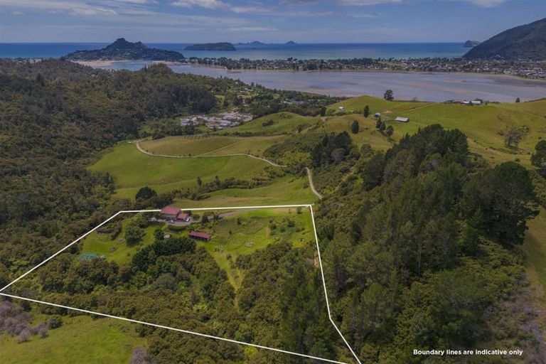 Photo of property in 49 Red Bridge Road, Pukepoto, Hikuai, 3579