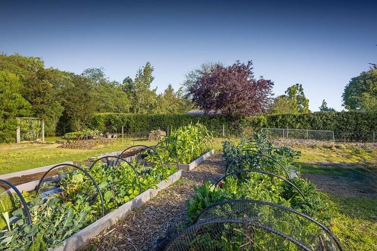 Photo of property in 102 Tricketts Road, West Melton, Christchurch, 7676