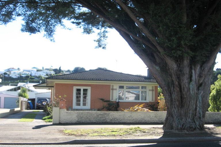 Photo of property in 6 Carnell Street, Napier South, Napier, 4110