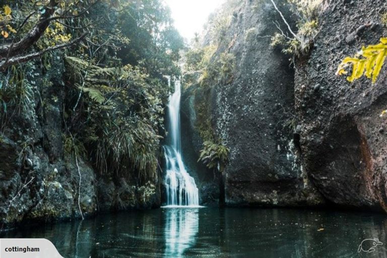 Photo of property in 122 Lone Kauri Road, Karekare, New Lynn, 0772