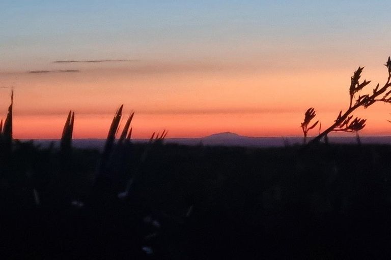 Photo of property in 484 Finnis Road, Pohangina, Feilding, 4775