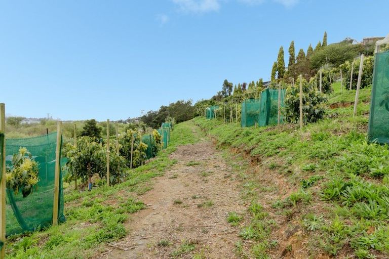 Photo of property in 79 Sapphire Drive, Hairini, Tauranga, 3112