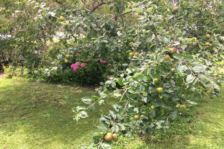 Photo of property in 58 Perth Street, South Hill, Oamaru, 9400