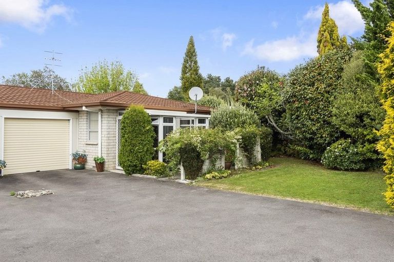 Photo of property in 2a Brookfield Terrace, Brookfield, Tauranga, 3110