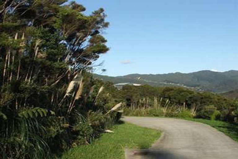 Photo of property in 612 Wyuna Bay Road, Wyuna Bay, Coromandel, 3581
