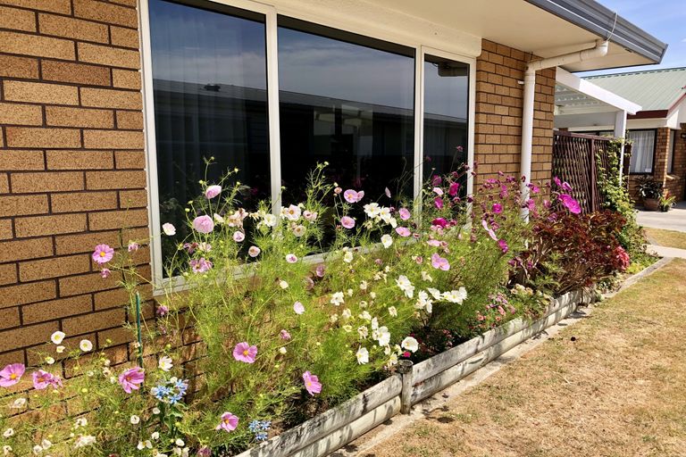 Photo of property in 2/262 Bank Street, Te Awamutu, 3800