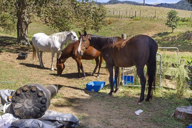 Photo of property in 69 Dickey Flat Road, Waikino, Waihi, 3682