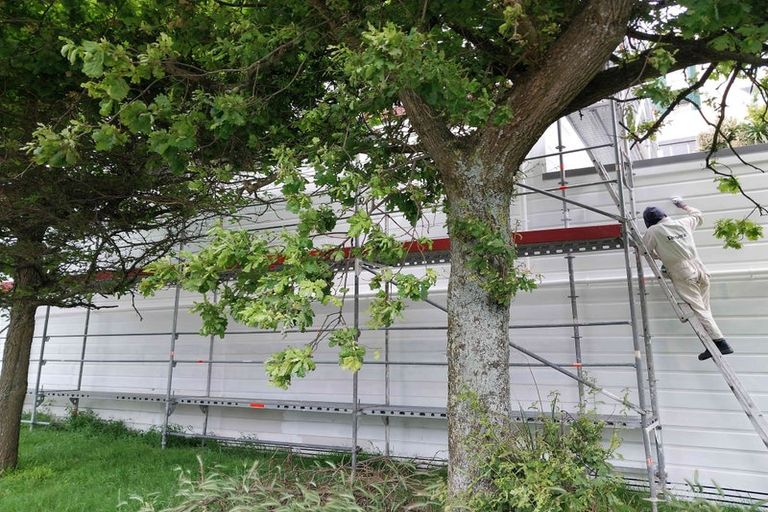 Photo of property in 104 Webb Street, Te Aro, Wellington, 6011