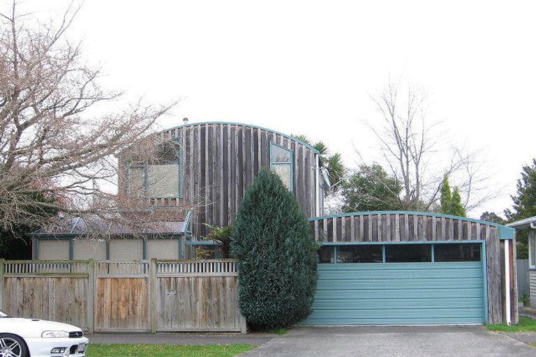 Photo of property in 46 Collingwood Street, Hokowhitu, Palmerston North, 4410