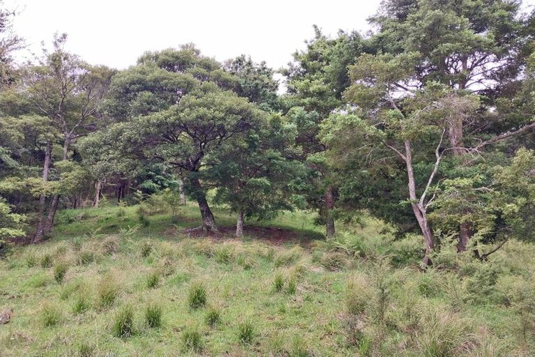 Photo of property in 1762 Kohumaru Road, Peria, Kaitaia, 0482