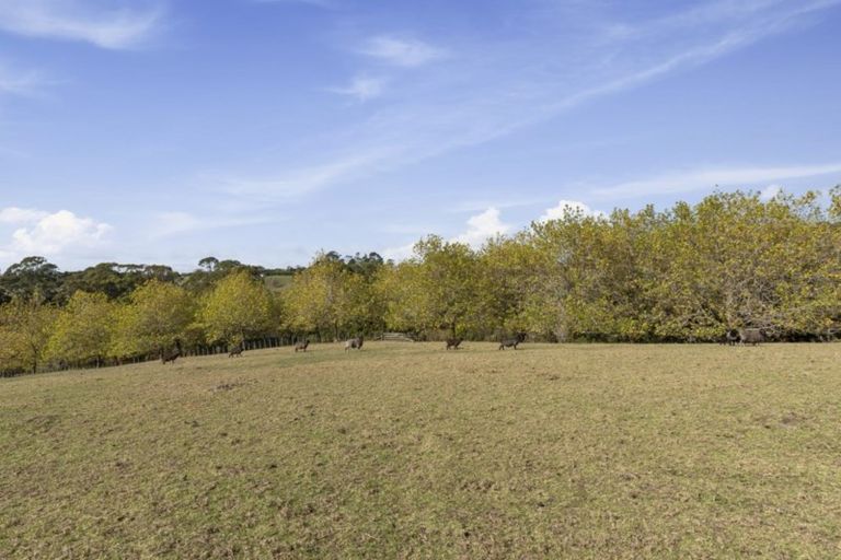 Photo of property in 115 Glenmore Road, Coatesville, Albany, 0793