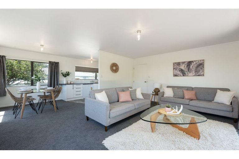 Photo of property in 8a Solomon Street, Brookfield, Tauranga, 3110