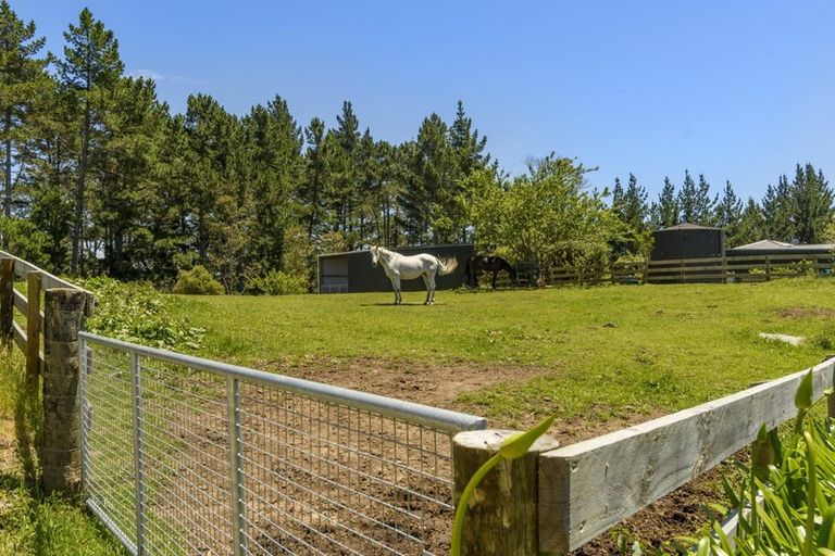 Photo of property in 1138 Omanawa Road, Omanawa, Tauranga, 3171