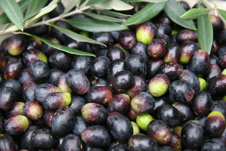 Photo of property in 3921 Far North Road, Pukenui, Kaitaia, 0484