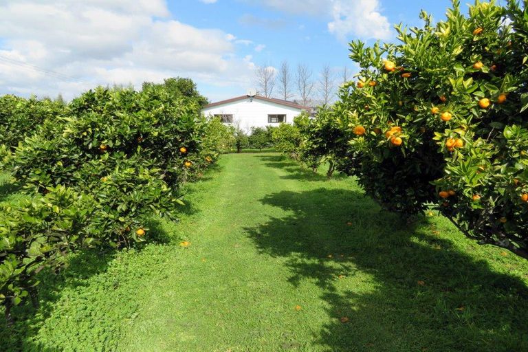 Photo of property in 3921 Far North Road, Pukenui, Kaitaia, 0484
