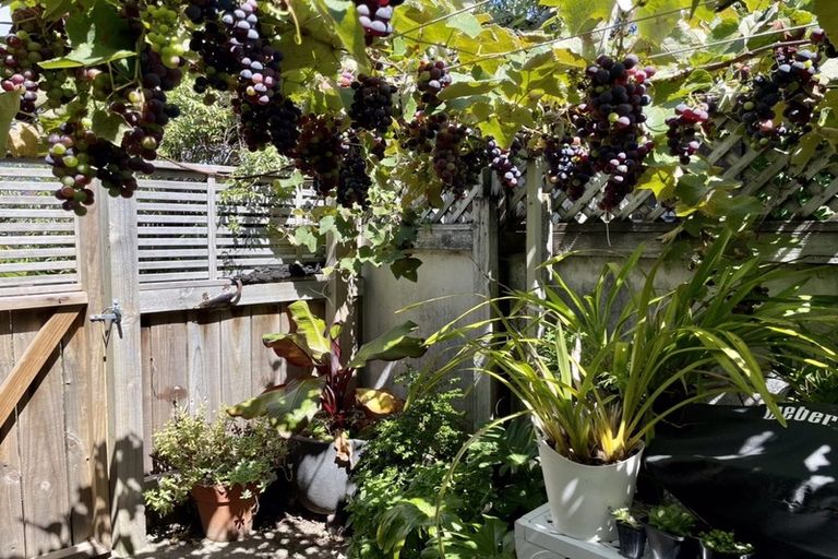 Photo of property in 22 Golf Road, Tahunanui, Nelson, 7011