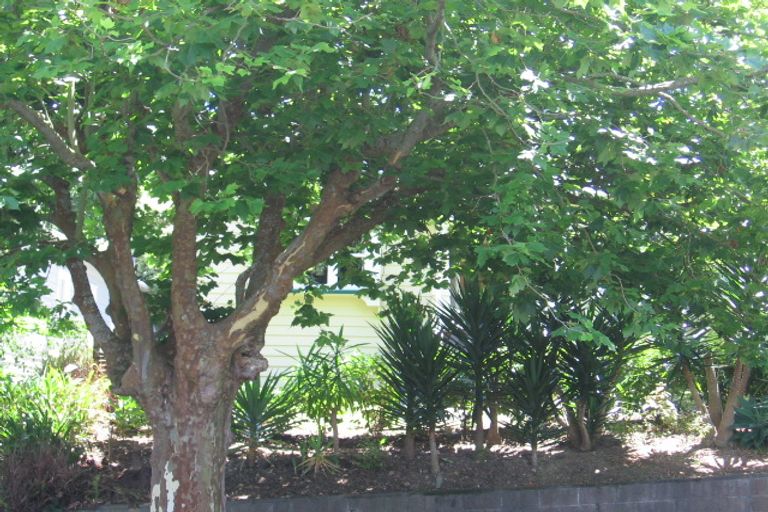 Photo of property in 15 St Albans Avenue, Mount Eden, Auckland, 1024