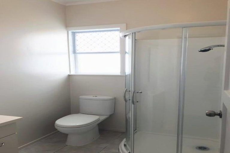 Photo of property in 22a Haig Avenue, Mount Roskill, Auckland, 1041