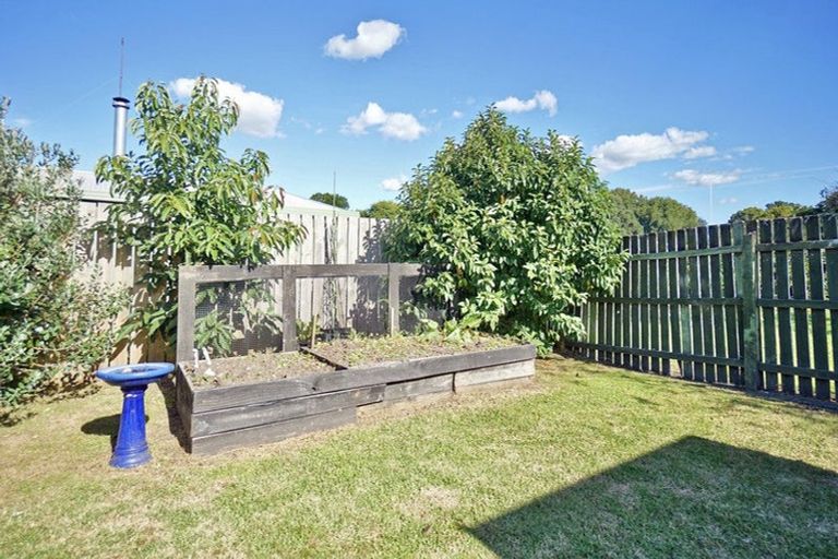 Photo of property in 12 Cameron Road, Te Puke, 3119