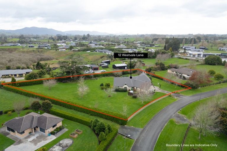 Photo of property in 12 Westvale Lane, Te Kowhai, Hamilton, 3288
