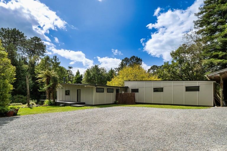 Photo of property in 217 Soldiers Road, Lower Kaimai, Tauranga, 3171