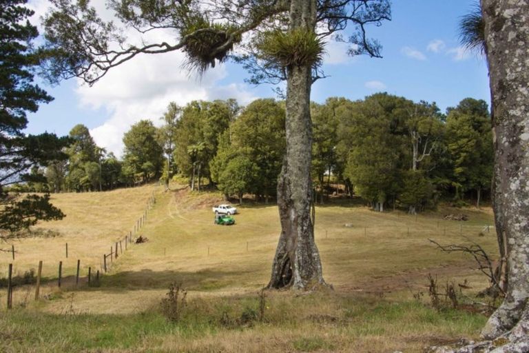 Photo of property in 1046 Work Road, Whakamarama, 3181