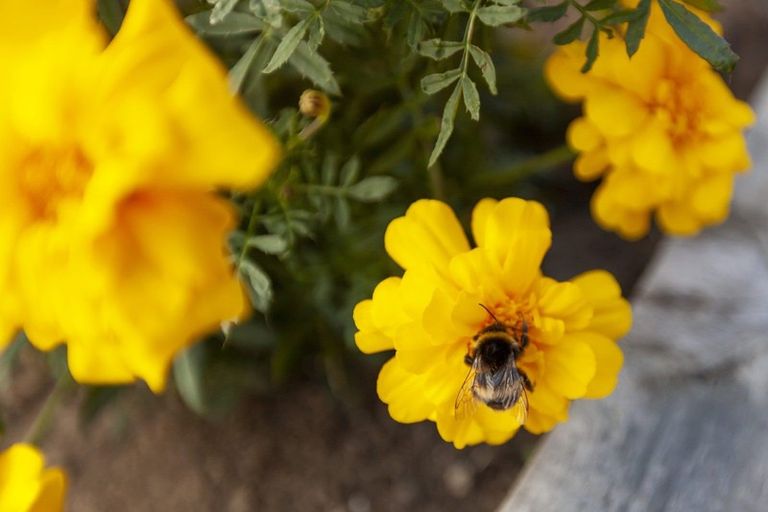 Photo of property in 1 Aqua Way, Paraparaumu, 5032