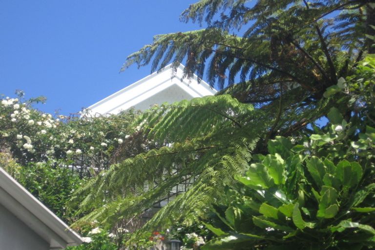 Photo of property in 25 Fairview Crescent, Kelburn, Wellington, 6012