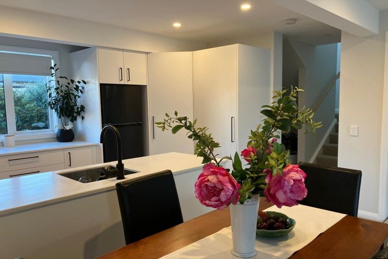 Photo of property in 17b West Avenue, Saint Clair, Dunedin, 9012