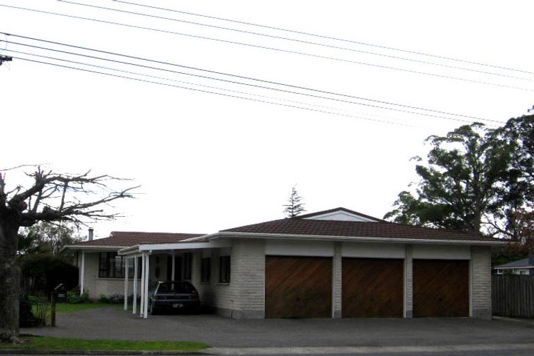 Photo of property in 114 Essex Street, Masterton, 5810