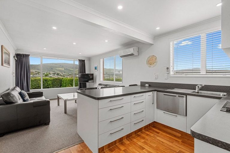 Photo of property in 6b Hereford Street, Roslyn, Dunedin, 9010