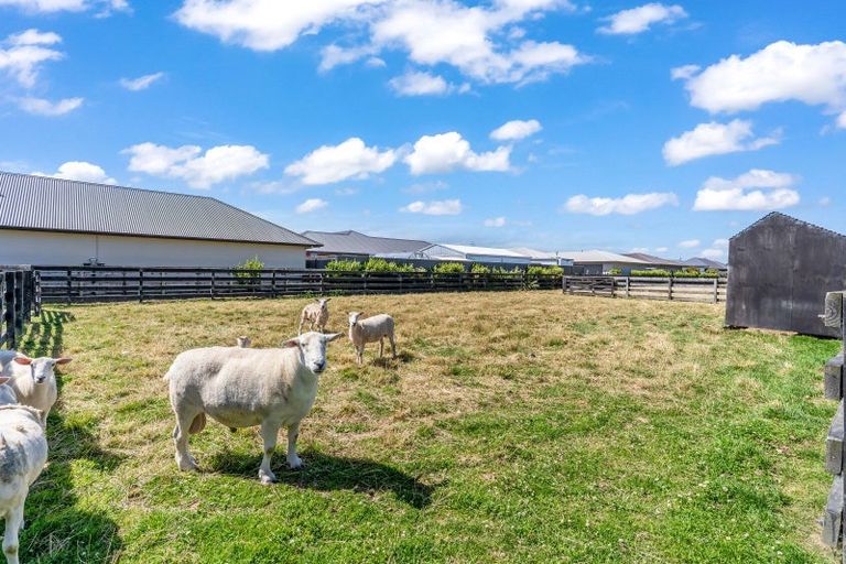 Photo of property in 34 Union Street, Winton, 9720