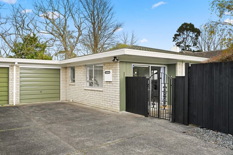 Photo of property in 49 Rimu Street, Maeroa, Hamilton, 3200