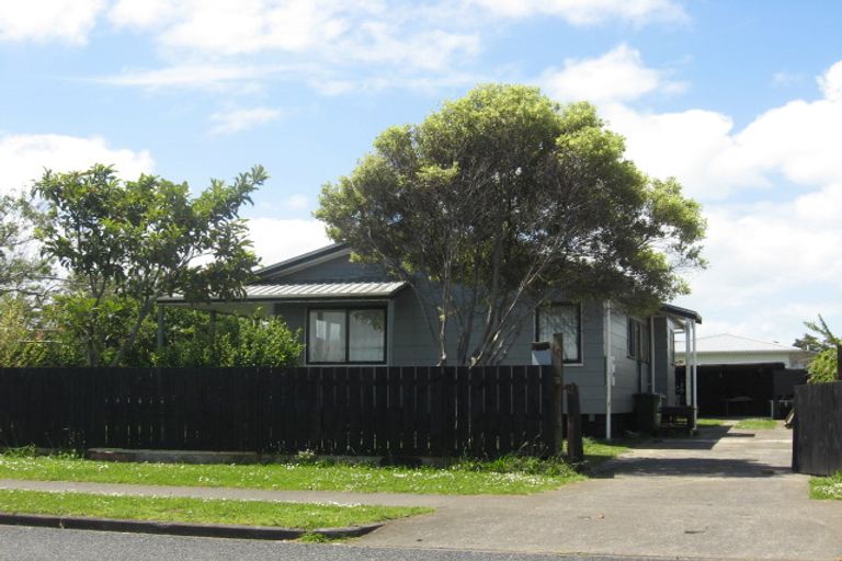 Photo of property in 99 Maplesden Drive, Clendon Park, Auckland, 2103