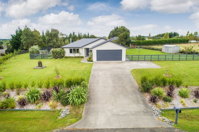 Photo of property in 12 Wapiti Avenue, Feilding, 4775