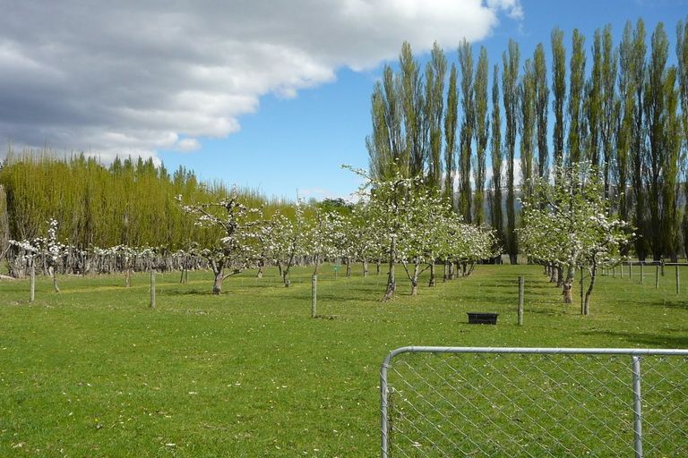 Photo of property in 16 Young Lane, Clyde, Alexandra, 9391