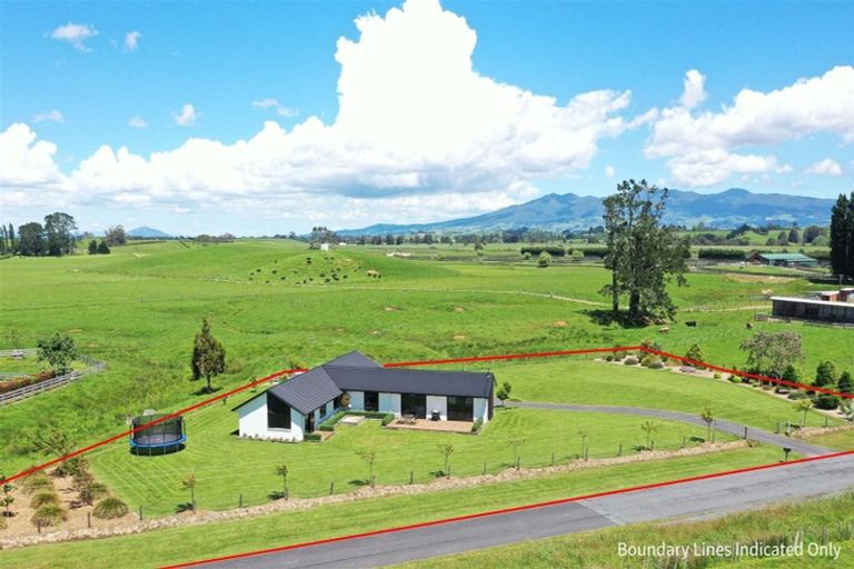 Photo of property in 133 Robson Road, Ngahinapouri, Hamilton, 3290